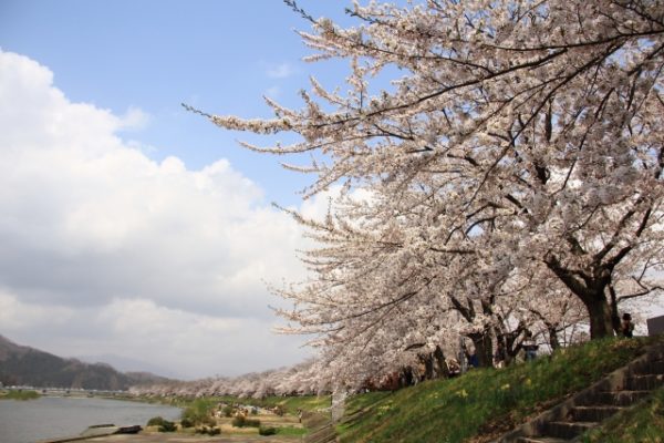 春(4月5月6月)に開催される秋田の有名なお祭り