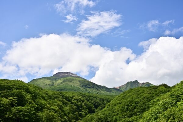 夏に子供連れで行きたい栃木県の観光名所は？人気観光スポット7選